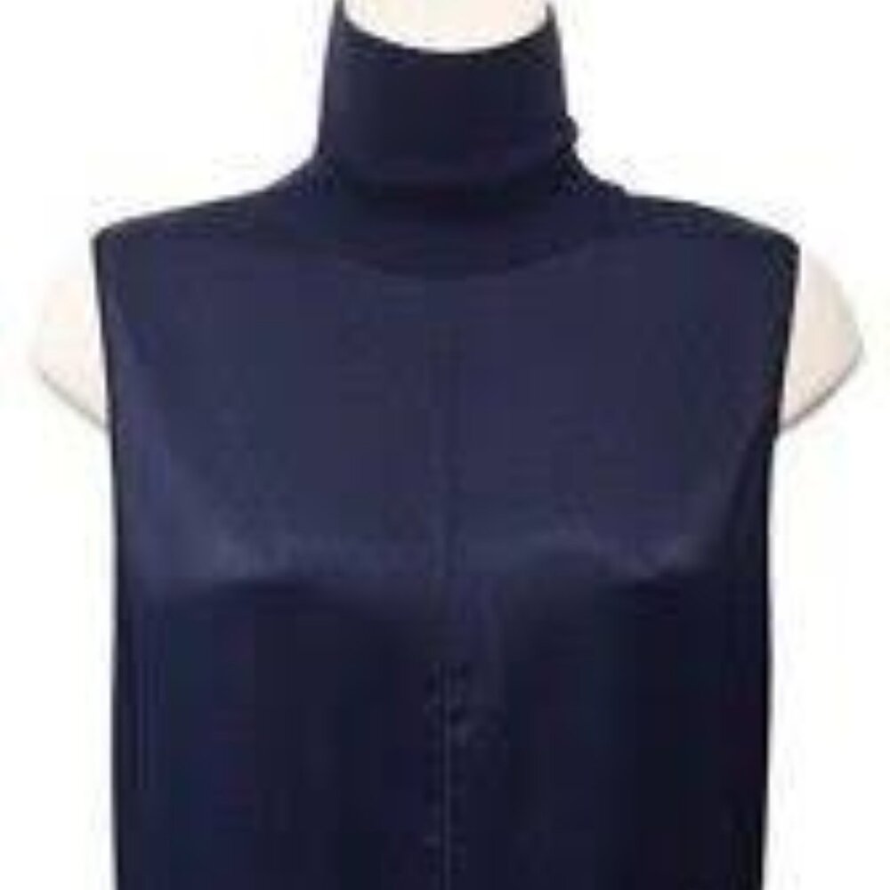 Silk Rag & Bone Turtleneck Dress